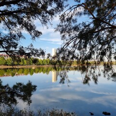 Fototapeta na wymiar Trees, clouds and buildings reflected on the surface of Lake Ginninderra. Belconnen, Canberra ACT Australian Capital Territory Australia