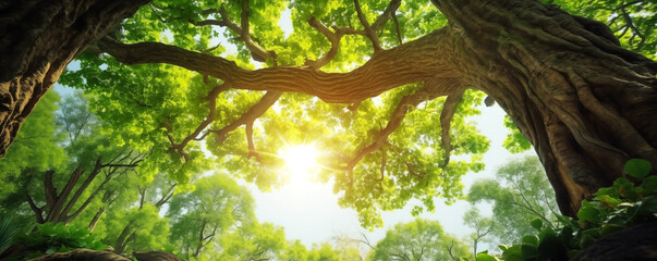 Panoramic illustration of beautiful old tree with lush green foliage in summer.