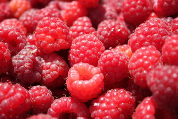 close up of raspberries