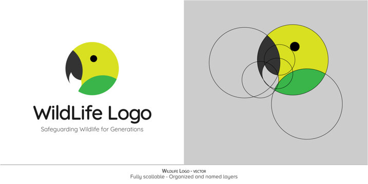Cute Caribbean parrot bird vector logo on white background. WildLife parrot emblem, mascot