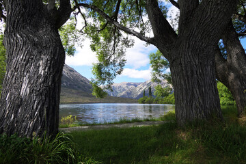 湖のある涼しげな風景