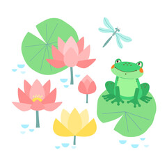 Сute green frog sits on water lily leaf in pond with blooming pink and yellow lotus flowers and looks at flying dragonfly. Vector illustration on white isolated background for children's creativity.