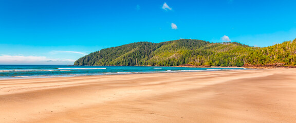 Canadian Nature Landscape on the West Coast of Pacific Ocean. Sandy Beach. Background Panorama. © edb3_16