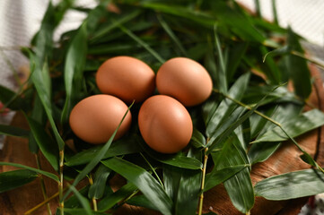 chicken egg in the nest source of protein healthy food