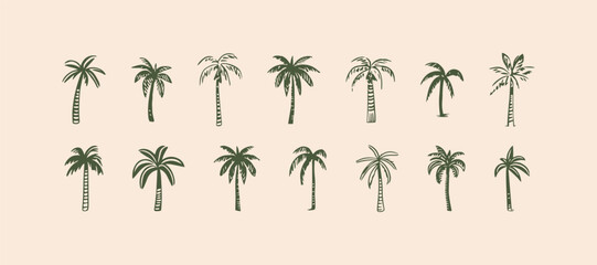 Hand drawn palm tree doodle element set. Green hawaiian clipart, isolated summer vacation collection in vintage art style. Tropical plant painting illustration bundle.