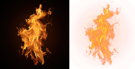 Intense Flames on Transparent Background Isolated, Vivid orange flames rising fiercely against a transparent backdrop