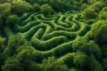 Fototapeten An aerial shot of a maze garden, with the intricate paths creating an artistic pattern. Concept of landscape design and recreational spaces. Generative Ai. © Sebastian