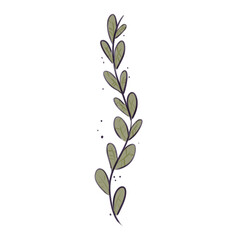 Illustration of branch with leaves on transparent background