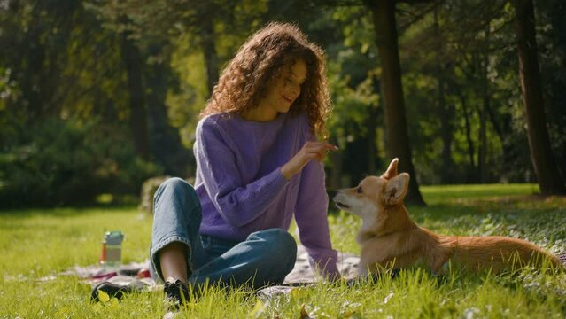 Caucasian young woman girl playing with cute little friend dog welsh corgi on grass outdoors female handler pet owner stroking puppy relaxing in city park nature human and domestic animal friendship