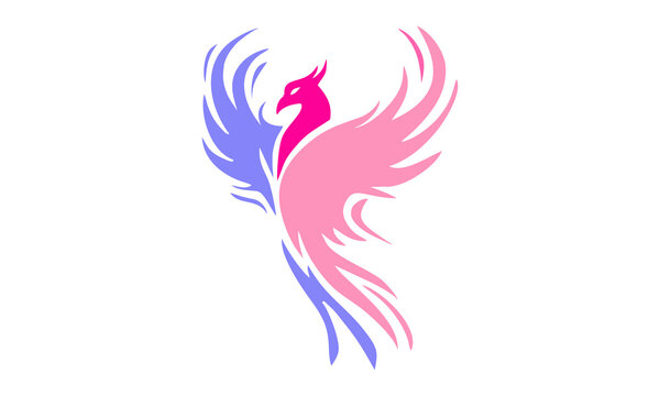 phoenix bird logo vector 