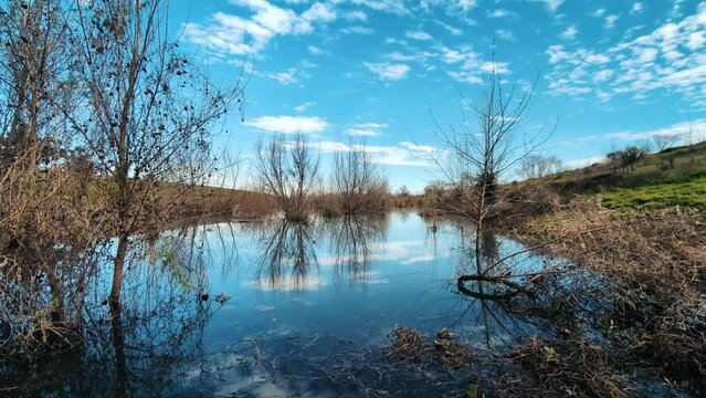 Flooded setback levee with trees underwater and reflections 