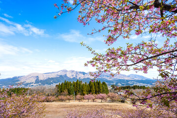 うららかな春空に映える阿蘇山と桜風景
Mt. Aso and cherry blossoms shine against...