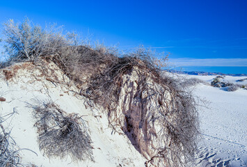 White Sands National Park - New Mexico