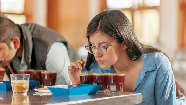 Rows of cups and beans with baristas smelling various aromas. Coffee specialists try different types to find the best coffee.