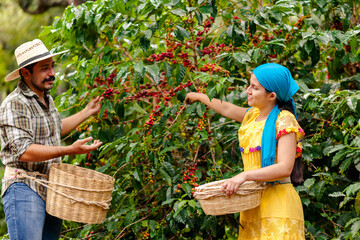 Happy farmers working in a coffee field.