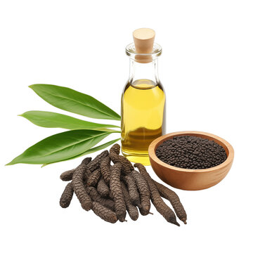 fresh raw organic long pepper oil in glass bowl png isolated on white background with clipping path. natural organic dripping serum herbal medicine rich of vitamins concept. selective focus