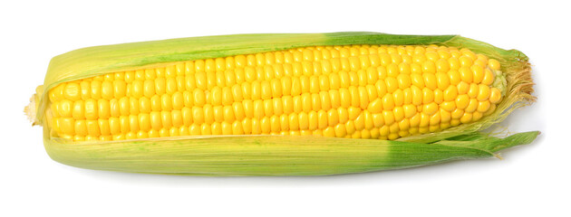 One corn macro isolated on white background
