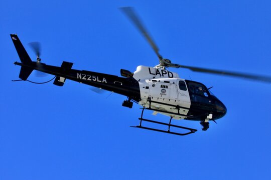 Air Support Division's LAPD helicopter is seen in the Los Angeles city sky.  LOS ANGELES, CALIFORNIA, USA - Jan 29