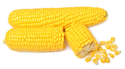 Corn group whole and slices isolated on white background