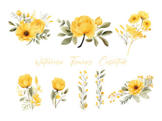 set water color flowers, color yellow very detailed, which is suitable for white background wedding templates