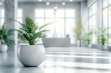 blurred office space and office plants on white walls, zoom background, video call background