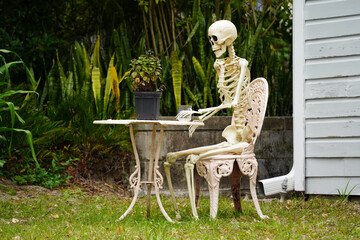 skeleton in the garden