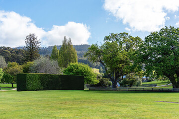 Obraz premium park in the city