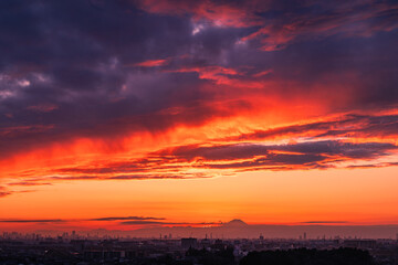夕日に染まる層積雲と富士山