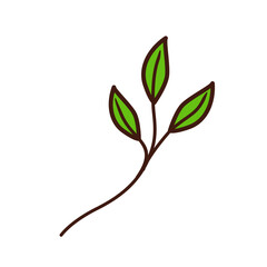 Vector hand drawn tree leaf twig floral element