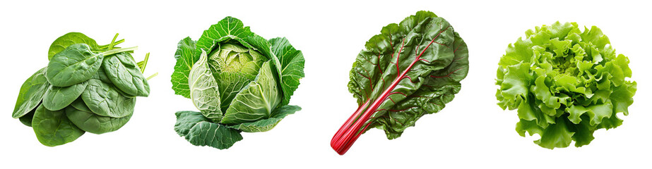 Spinach, cabbage, chard leaves and lettuce over isolated transparent background