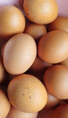 eggs on a wooden background