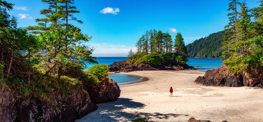 Canadian Nature Landscape on the West Coast of Pacific Ocean. Sandy Beach. Background Panorama.