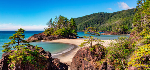 Canadian Nature Landscape on the West Coast of Pacific Ocean. Sandy Beach. Background Panorama.