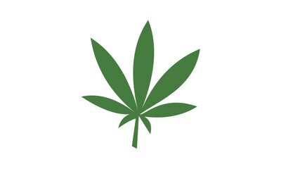 leaves isolated on white