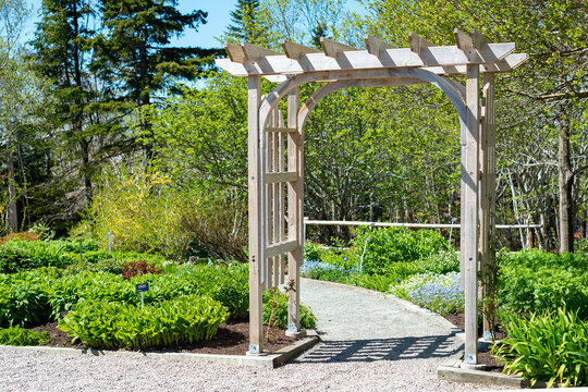 An outdoor pine wooden traditional shaped archway or arbor surrounded by a lush green garden.  The park has birch trees, climbing shrubs, flowers, and vibrant green plants in a botanical park. 