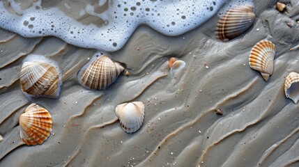 Fototapeta na wymiar Textured sand patterns on a beach with seashells and tide marks