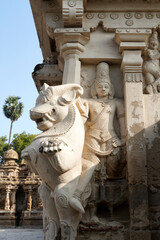Fototapeta premium Sandstone sculpture of Hindu God with Lion carved in the walls of ancient Kanchi Kailasanathar temple in Kanchipuram, Tamilnadu.