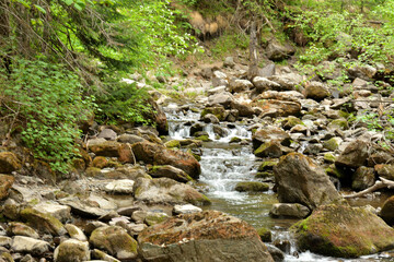 Fototapeta na wymiar A small river flows down from the mountains in a stormy cascade of waterfalls through a dense summer forest.