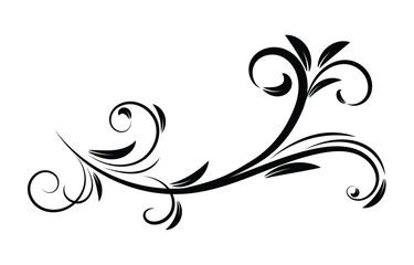 Floral element design vector illustration.