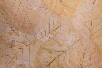 Paper texture with leaves handmade.