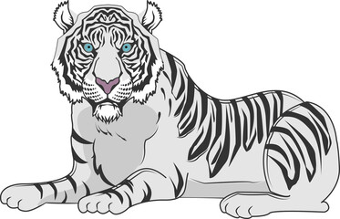 虎（Tiger）(PNG)