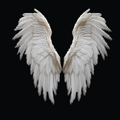 white angel wings vector