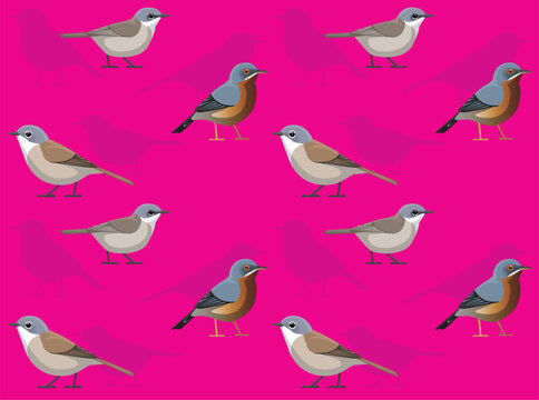 Bird Whitethroat Warbler Cute Seamless Wallpaper Background