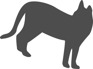 黒猫（Black cat）