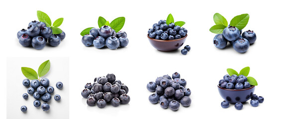 Set of blueberries  on transparency background PNG - obrazy, fototapety, plakaty