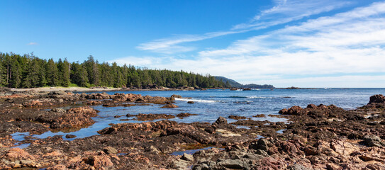 Rocky shore on Pacific Ocean West Coast during Sunny Day. Vancouver Island