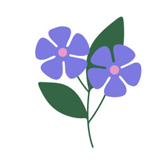 Purple flower isolated on white background. Hand drawn flat png illustration of floral branch 