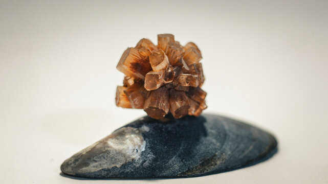 Natural Rough Orange Aragonite Metaphysical Healing Crystal Gemstone Mineral Starburst Cluster Formation Sitting on top of Blue Mussel Shell on Vignette Light Background with Shallow Depth of Field 