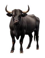 Foto op Canvas Bull Isolated on Transparent Background  © RenZen