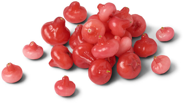 jambu or rose apple, aka bell fruit or wax apple, flesh is crisp and watery, bell-like or pear shaped juicy fruit isolated on white background